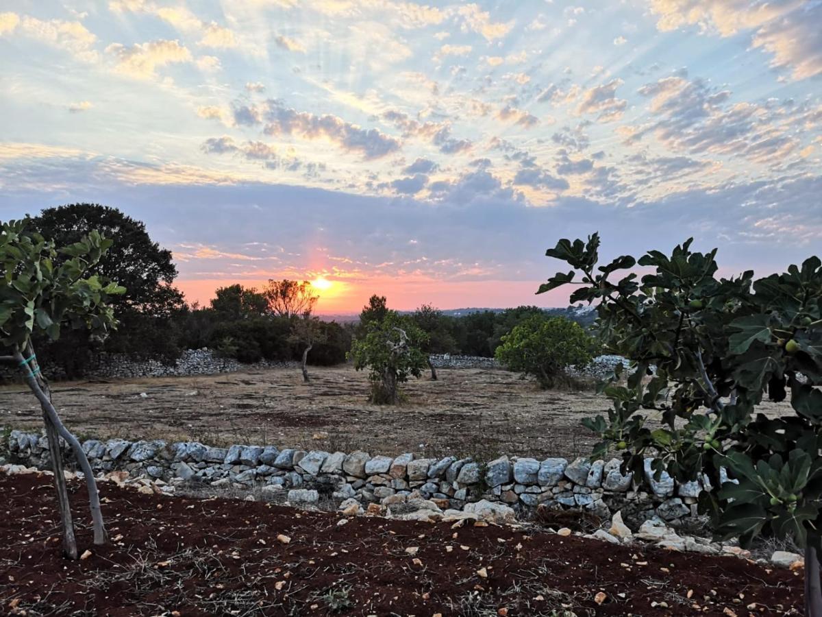 Dimora Verde B Con Trullo Masseria Poesia Cisternino Exteriör bild