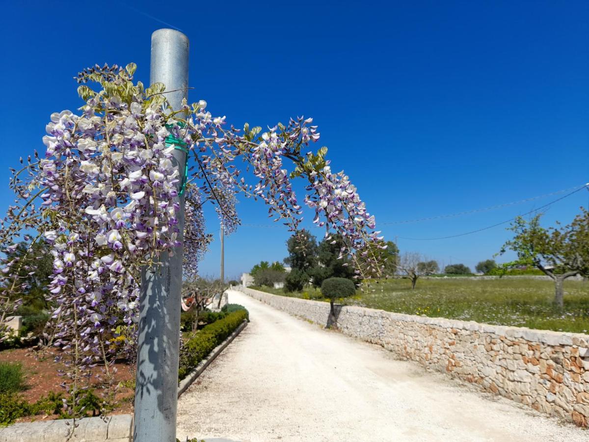 Dimora Verde B Con Trullo Masseria Poesia Cisternino Exteriör bild