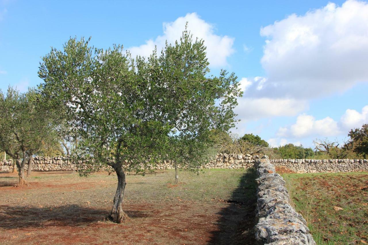 Dimora Verde B Con Trullo Masseria Poesia Cisternino Exteriör bild